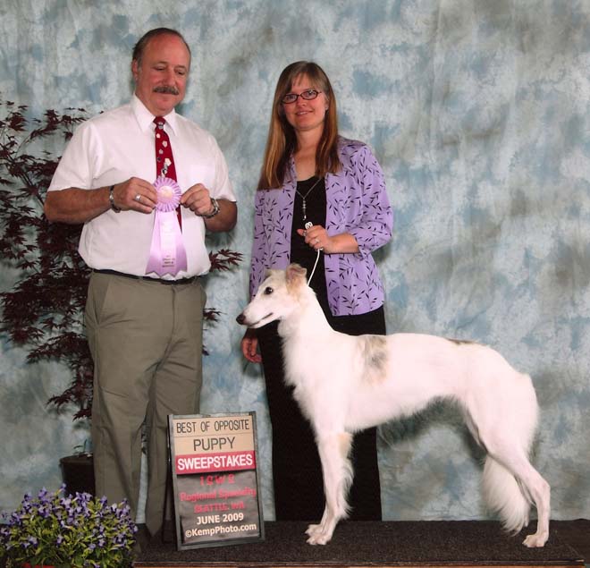 Storm - Best Opposite Puppy in Sweepstakes - June 2009