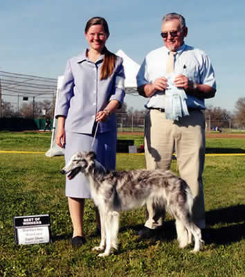 Kyra - Best of Winners